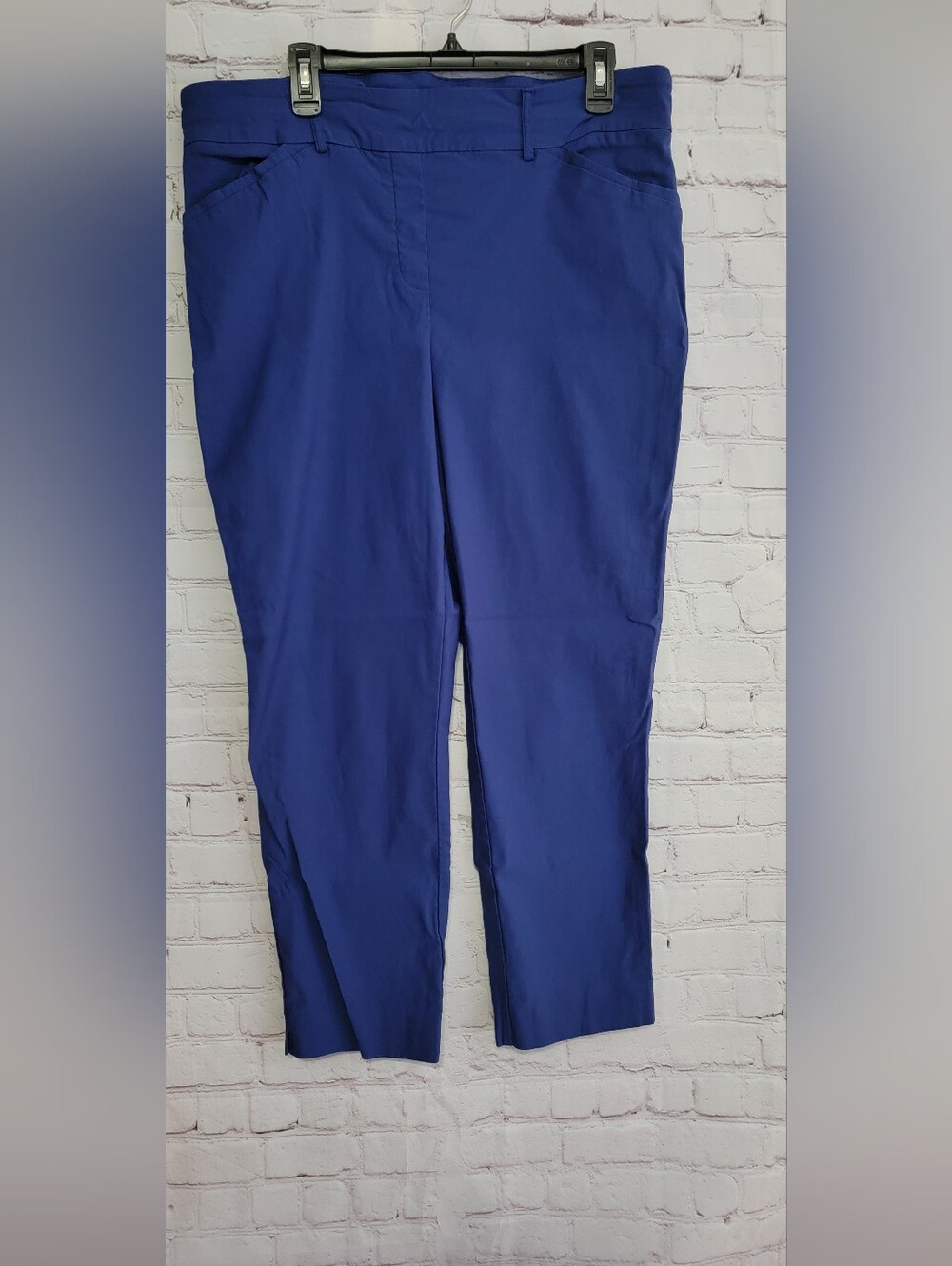 Women's Blue Dress Pants Hillary Radley XL
